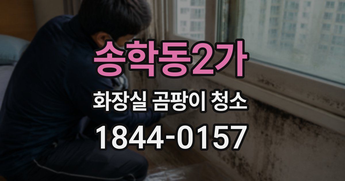 송학동2가 화장실 곰팡이 청소