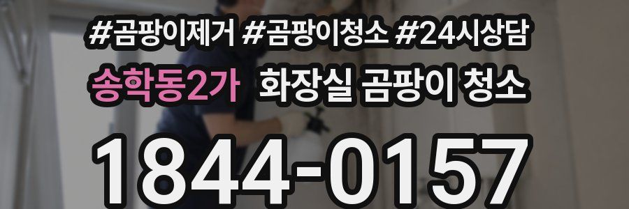 송학동2가 화장실 곰팡이 청소