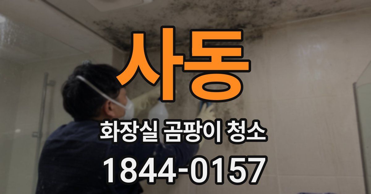 사동 화장실 곰팡이 청소