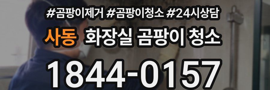 사동 화장실 곰팡이 청소