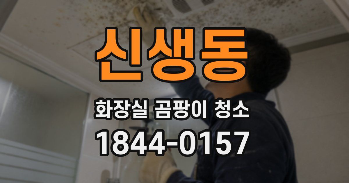 신생동 화장실 곰팡이 청소