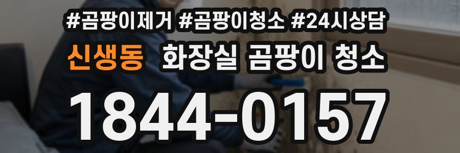 신생동 화장실 곰팡이 청소