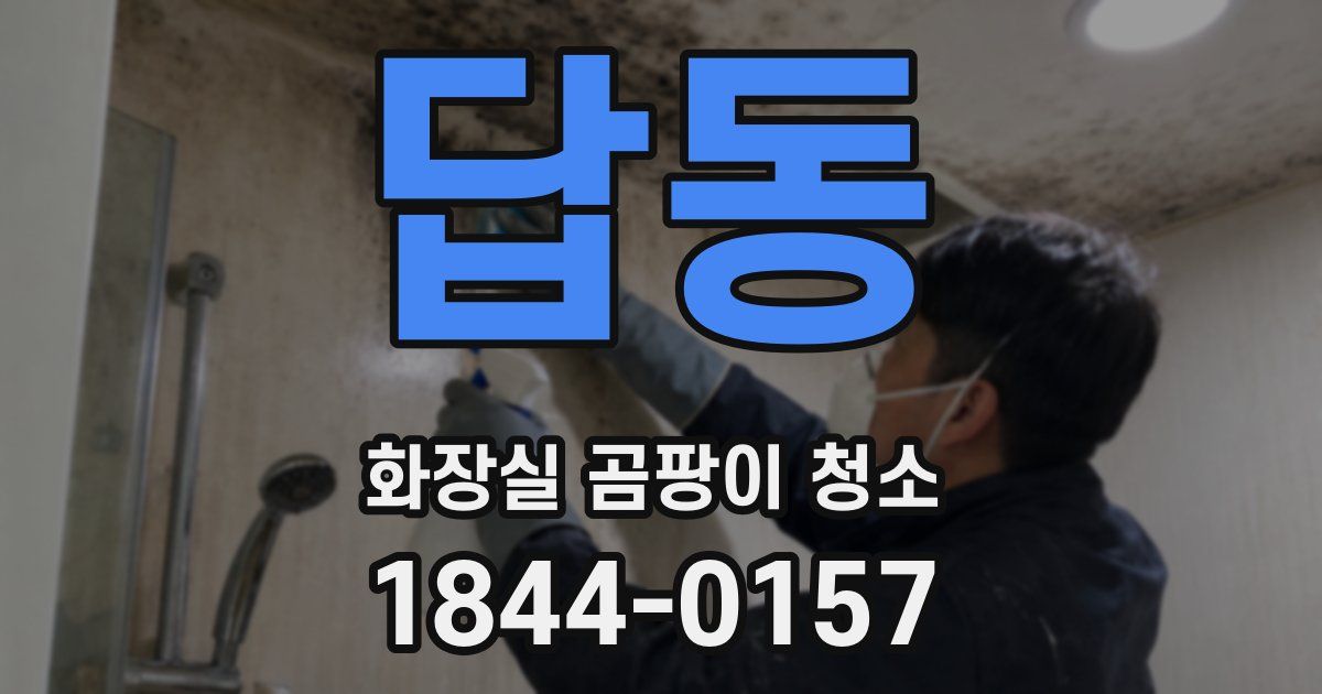 답동 화장실 곰팡이 청소