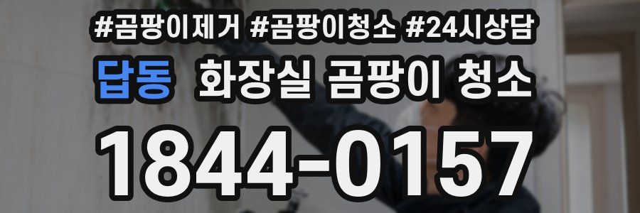 답동 화장실 곰팡이 청소