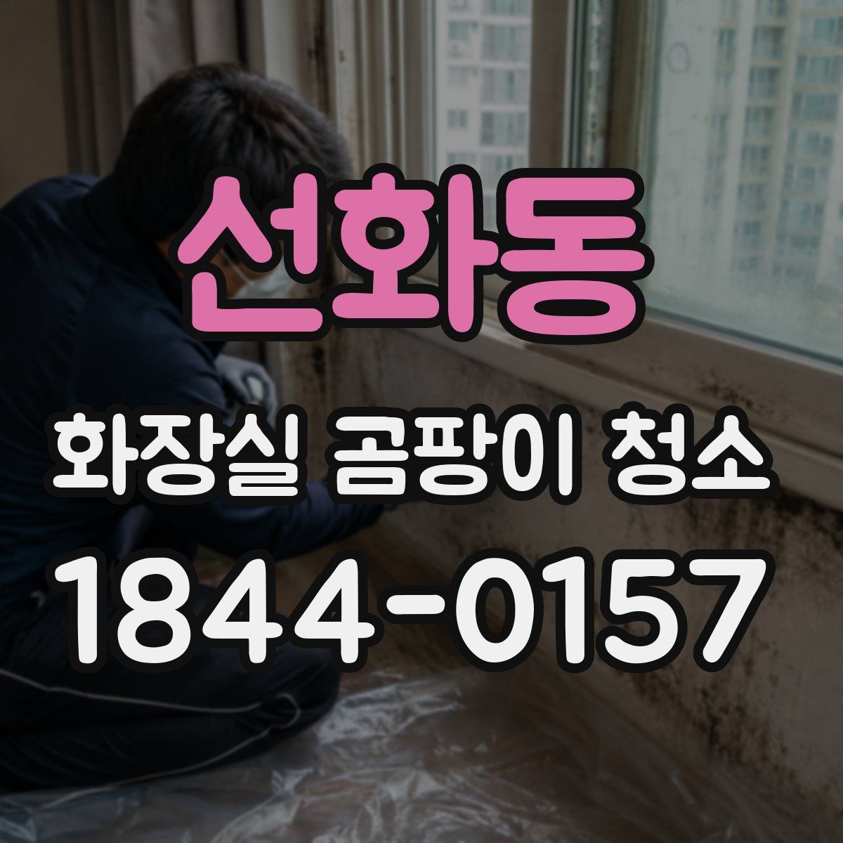 선화동 화장실 곰팡이 청소