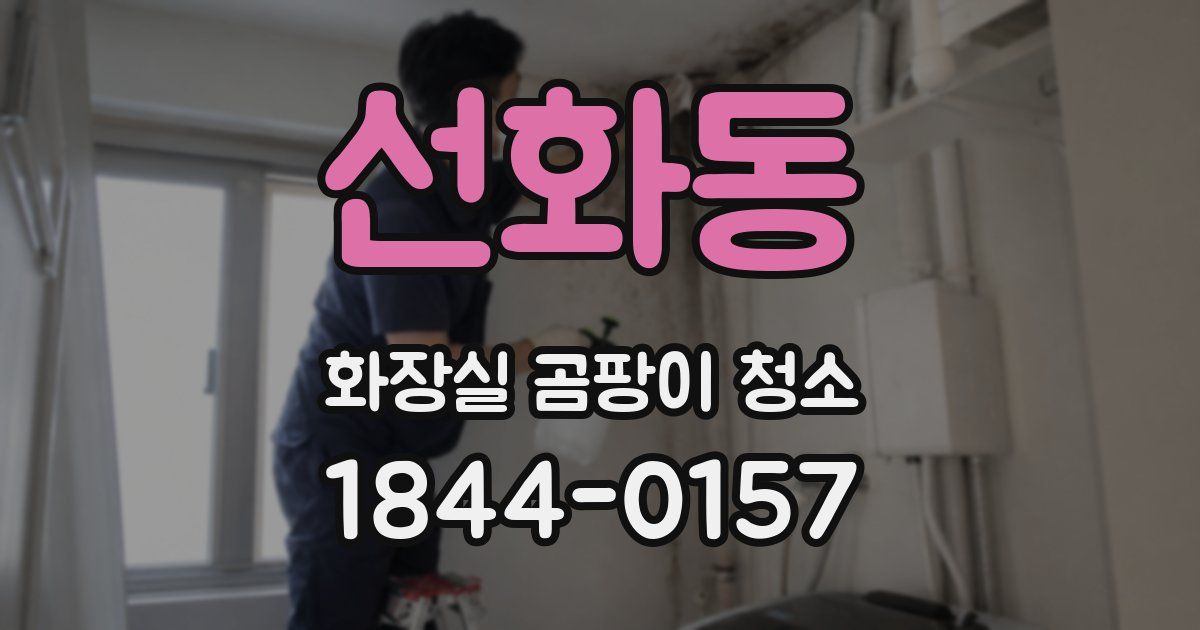 선화동 화장실 곰팡이 청소
