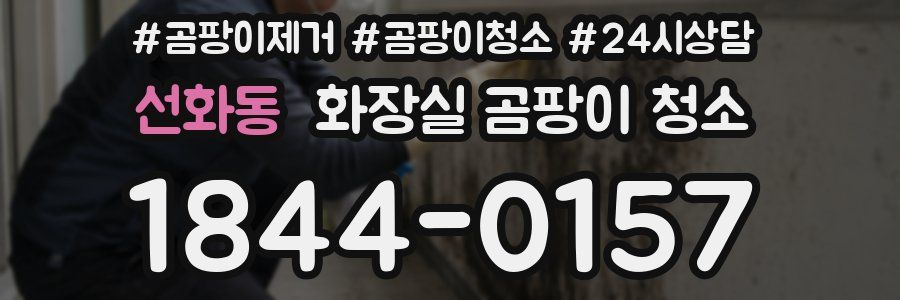 선화동 화장실 곰팡이 청소