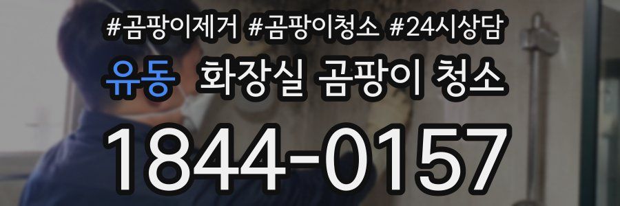 유동 화장실 곰팡이 청소