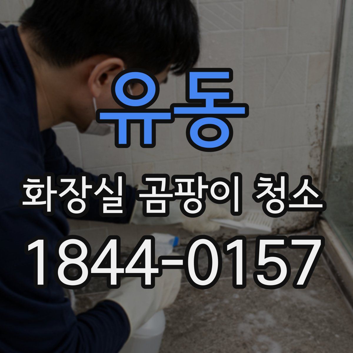 유동 화장실 곰팡이 청소