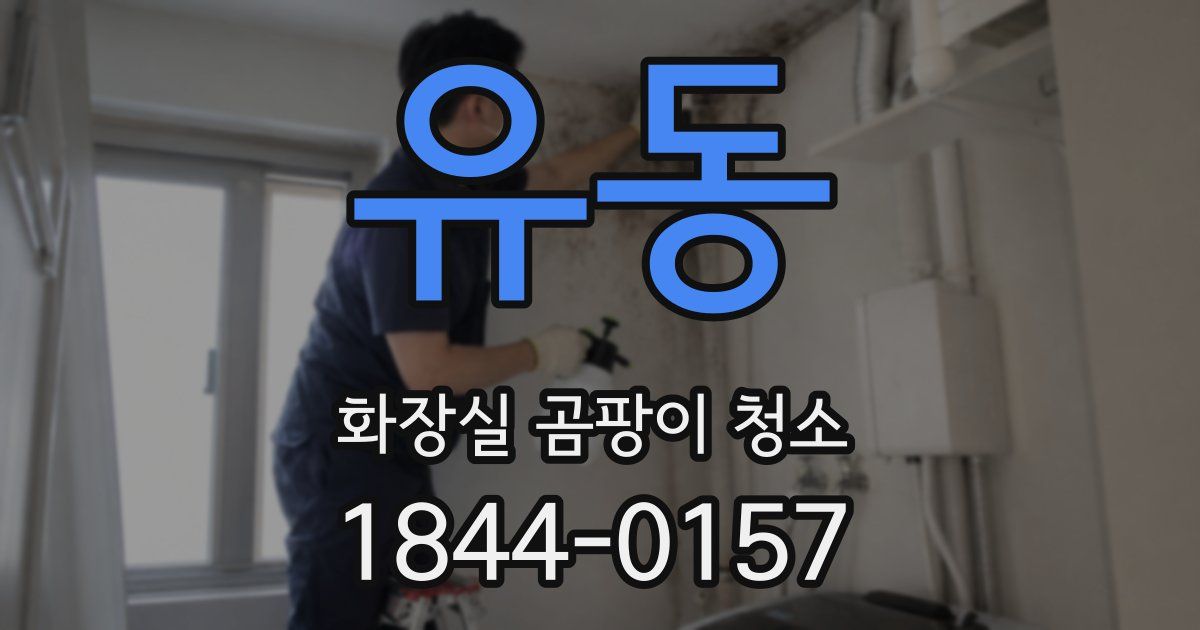 유동 화장실 곰팡이 청소