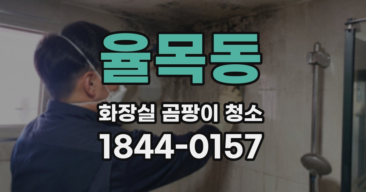 율목동 화장실 곰팡이 청소