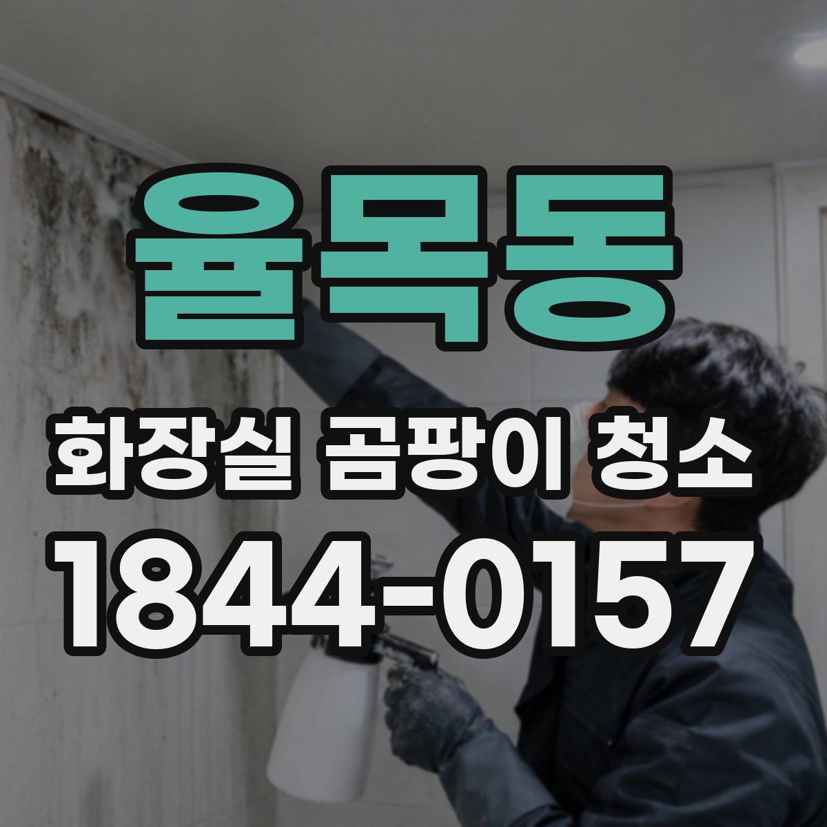 율목동 화장실 곰팡이 청소