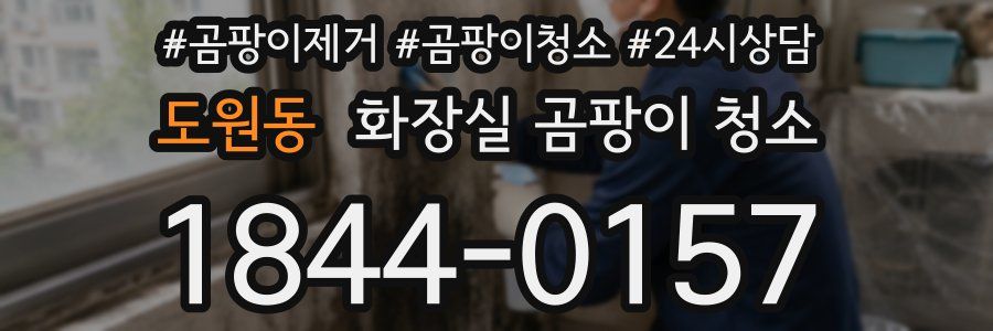 도원동 화장실 곰팡이 청소