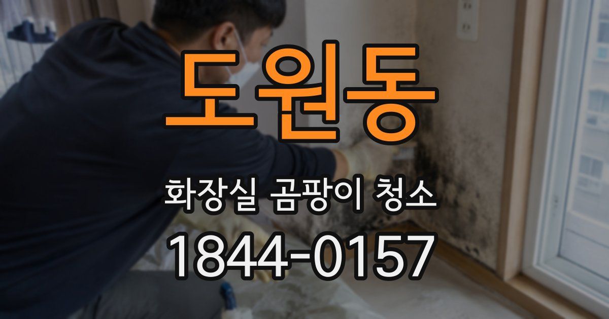 도원동 화장실 곰팡이 청소
