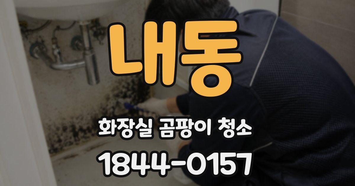 내동 화장실 곰팡이 청소