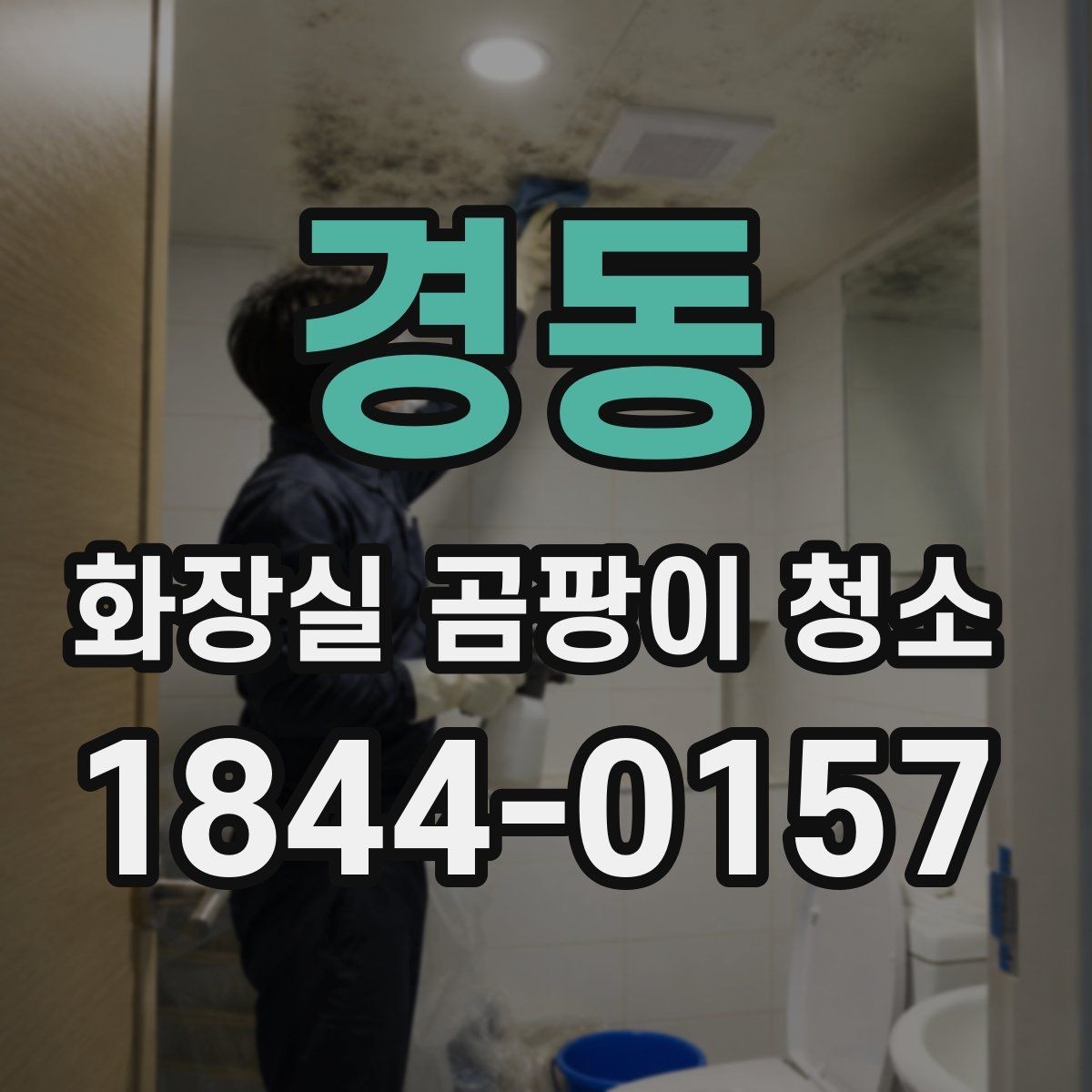 경동 화장실 곰팡이 청소 타일 표면 손상 줄이는 기본 순서