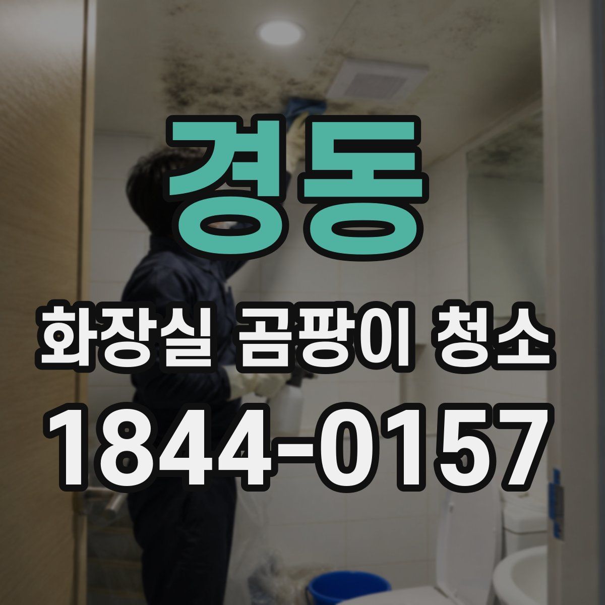 경동 화장실 곰팡이 청소
