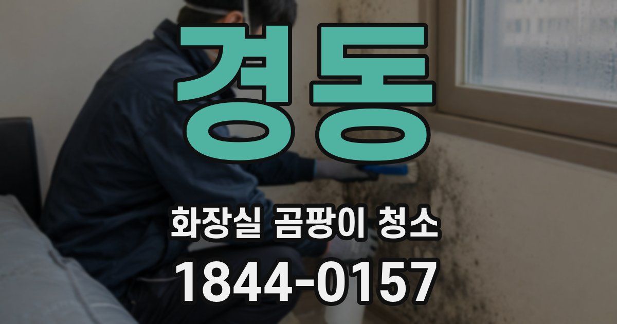 경동 화장실 곰팡이 청소