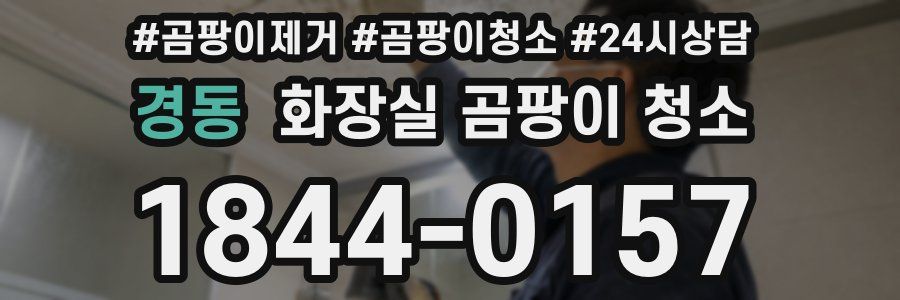 경동 화장실 곰팡이 청소