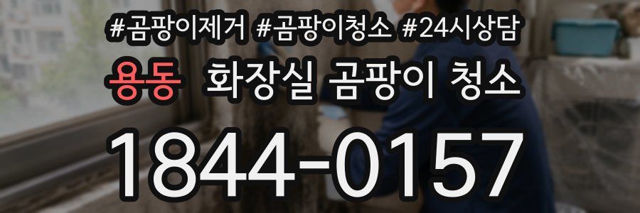 용동 화장실 곰팡이 청소
