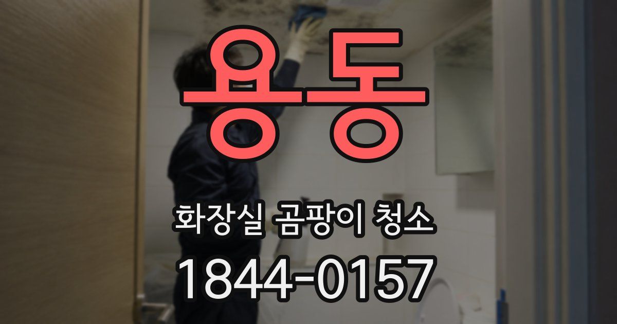용동 화장실 곰팡이 청소