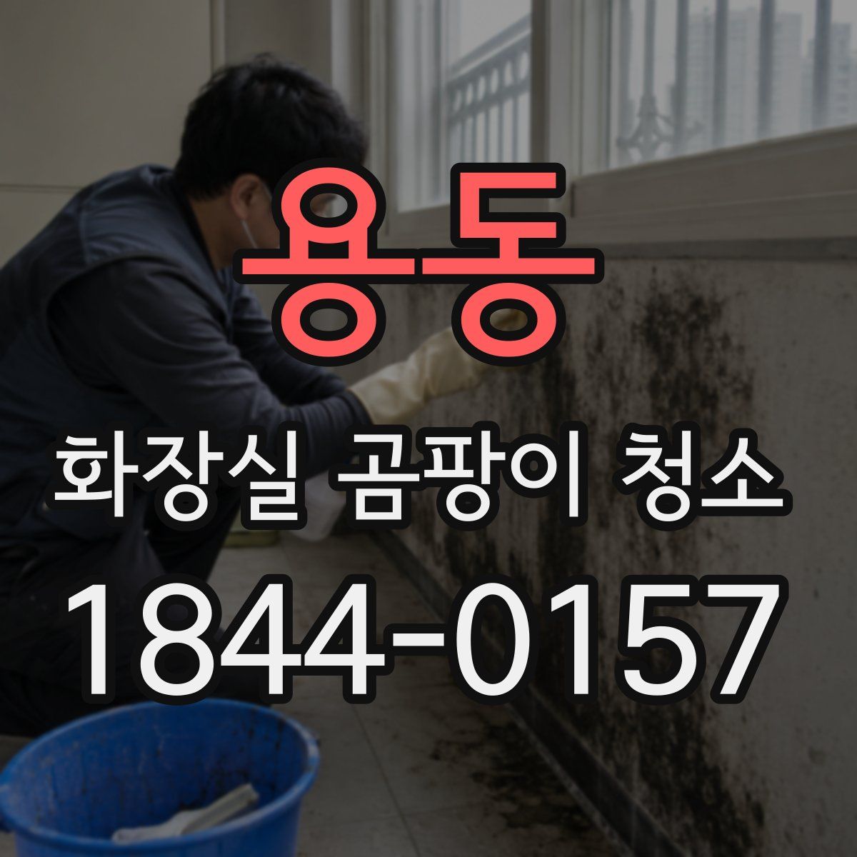 용동 화장실 곰팡이 청소
