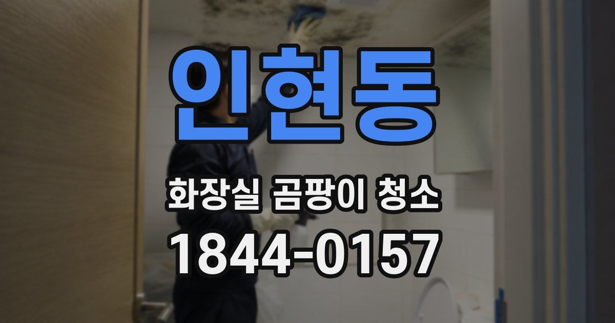 인현동 화장실 곰팡이 청소