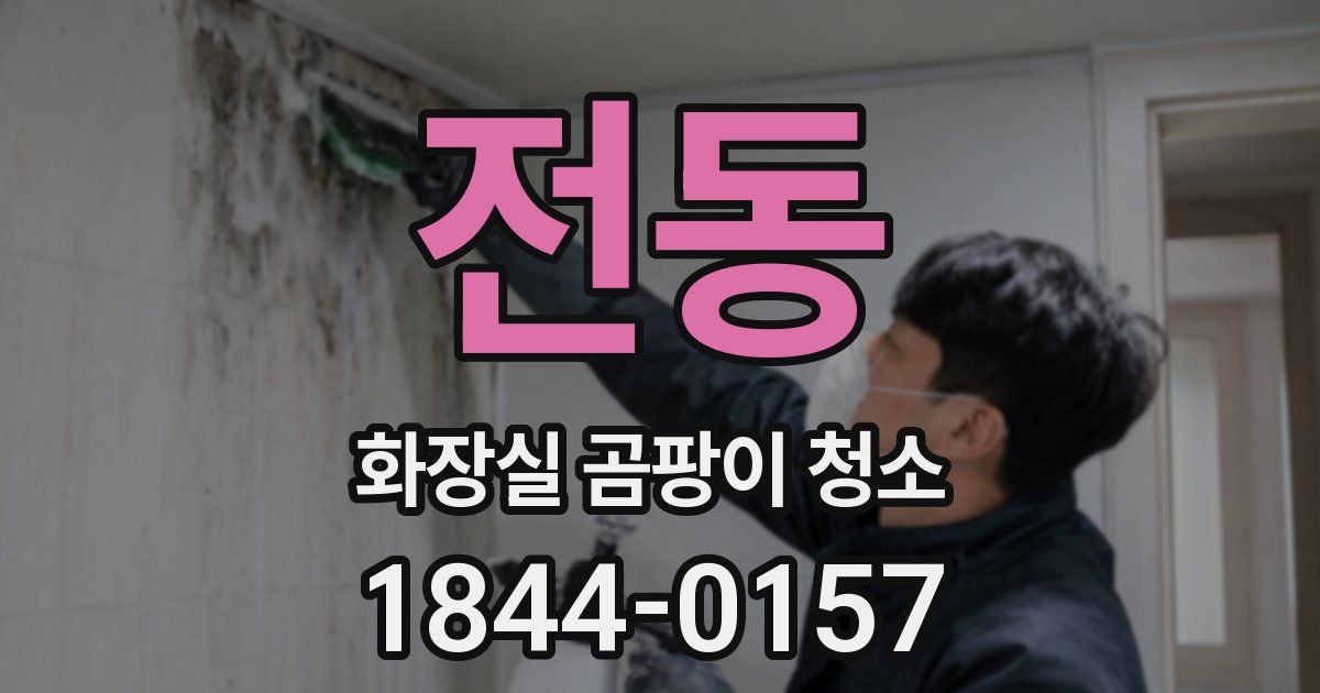 전동 화장실 곰팡이 청소