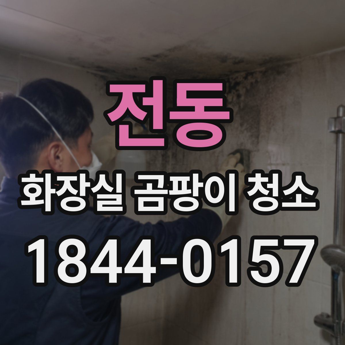 전동 화장실 곰팡이 청소
