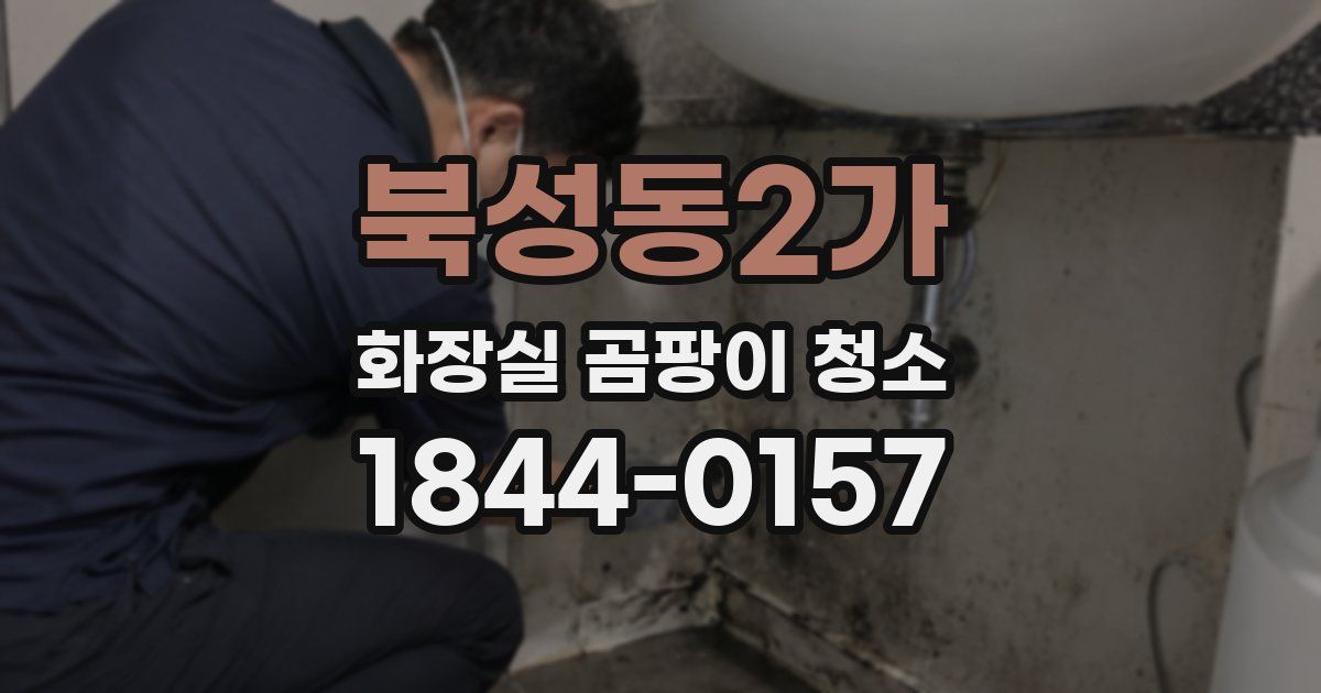 북성동2가 화장실 곰팡이 청소