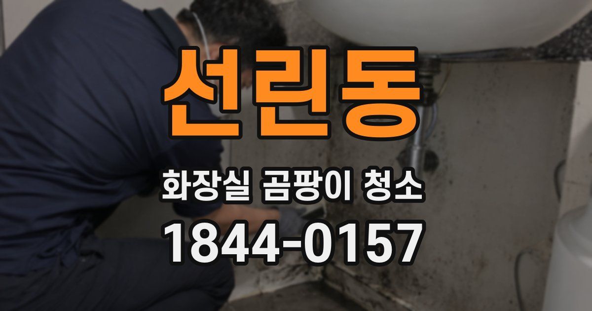 선린동 화장실 곰팡이 청소