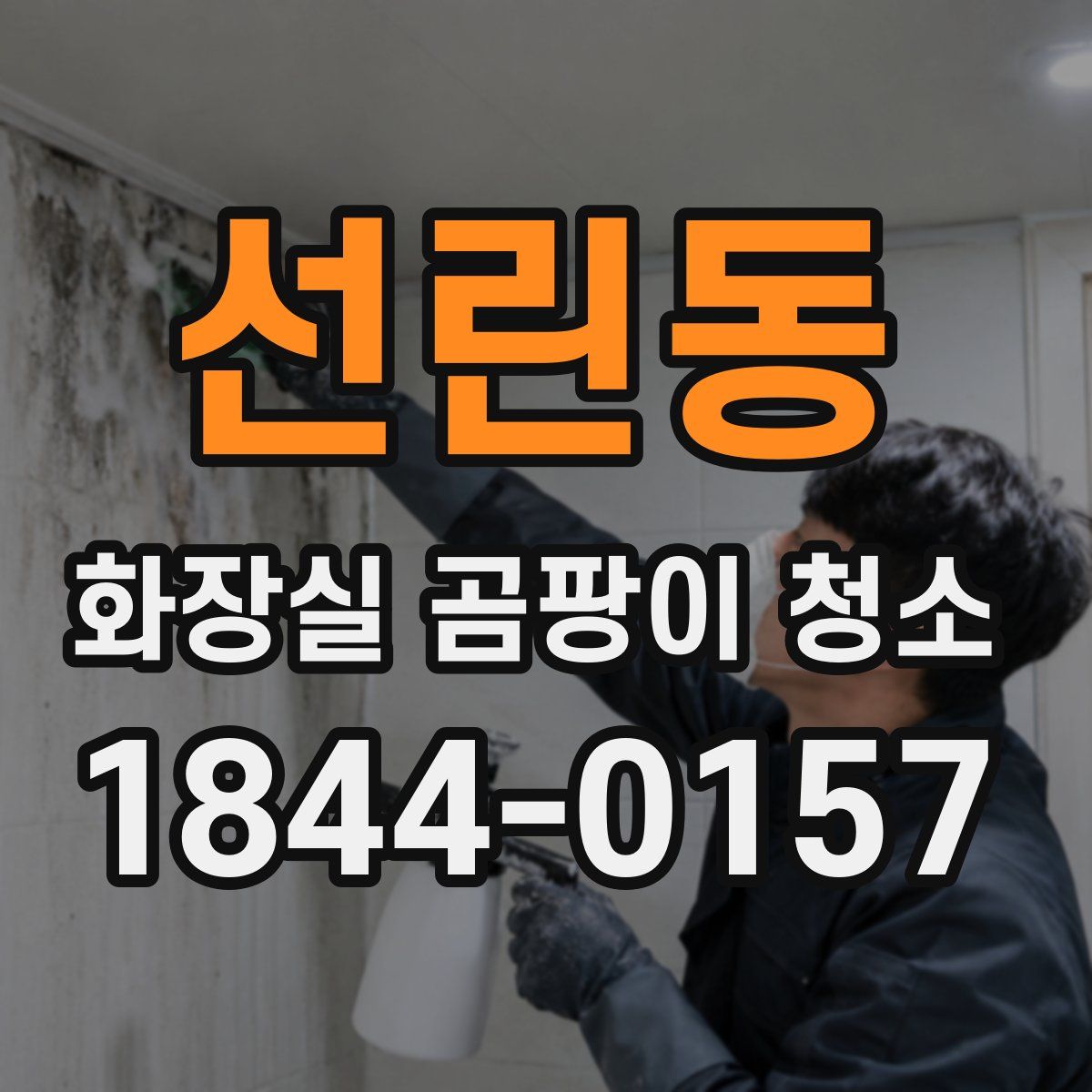 선린동 화장실 곰팡이 청소