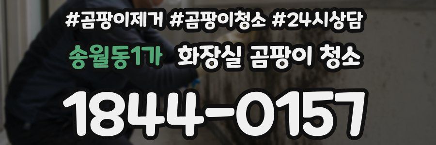 송월동1가 화장실 곰팡이 청소