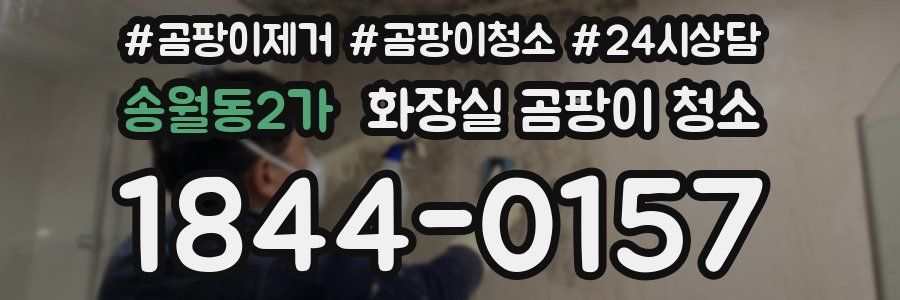 송월동2가 화장실 곰팡이 청소
