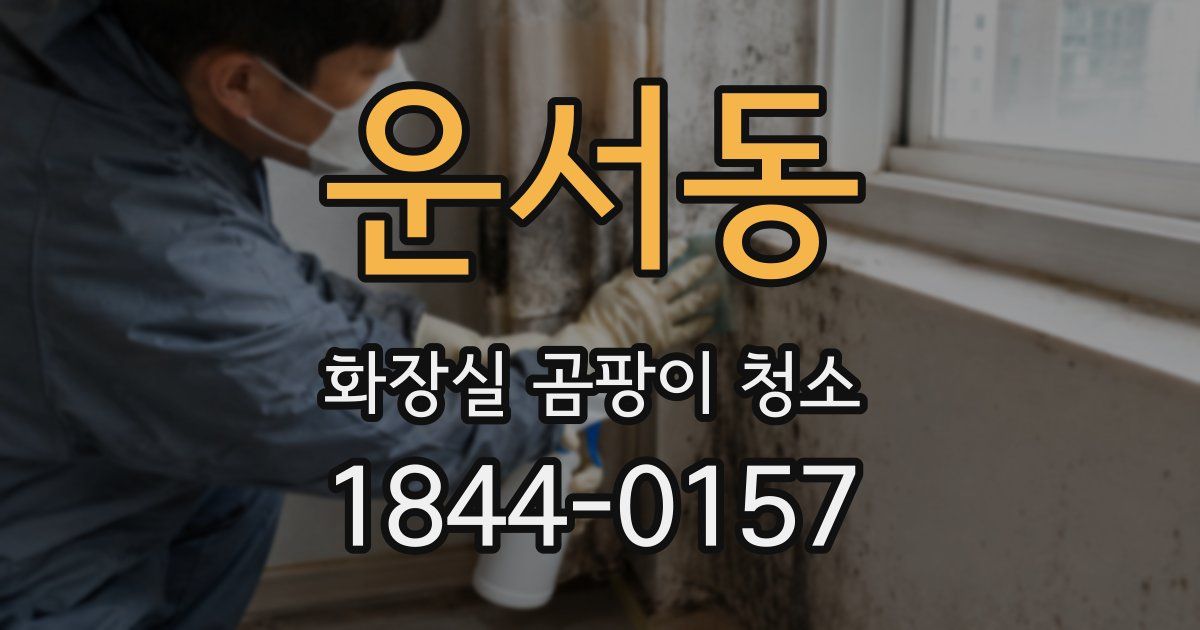 운서동 화장실 곰팡이 청소
