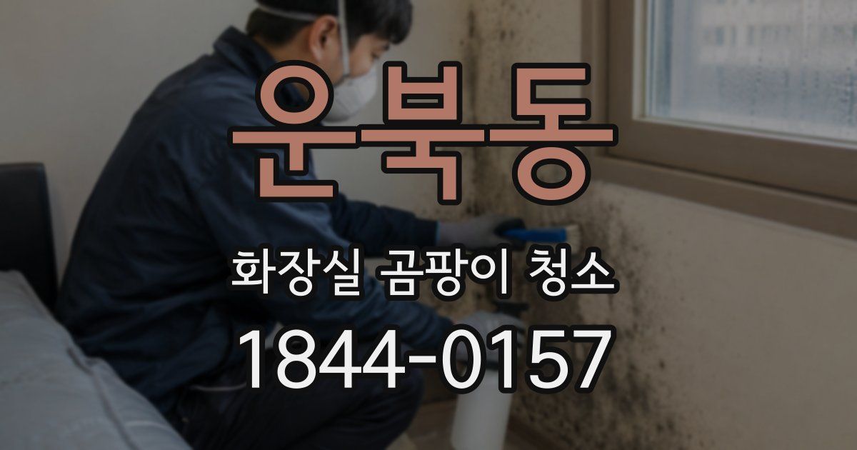 운북동 화장실 곰팡이 청소