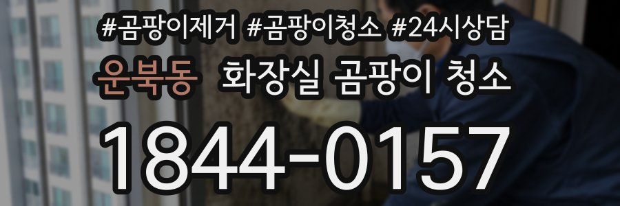 운북동 화장실 곰팡이 청소