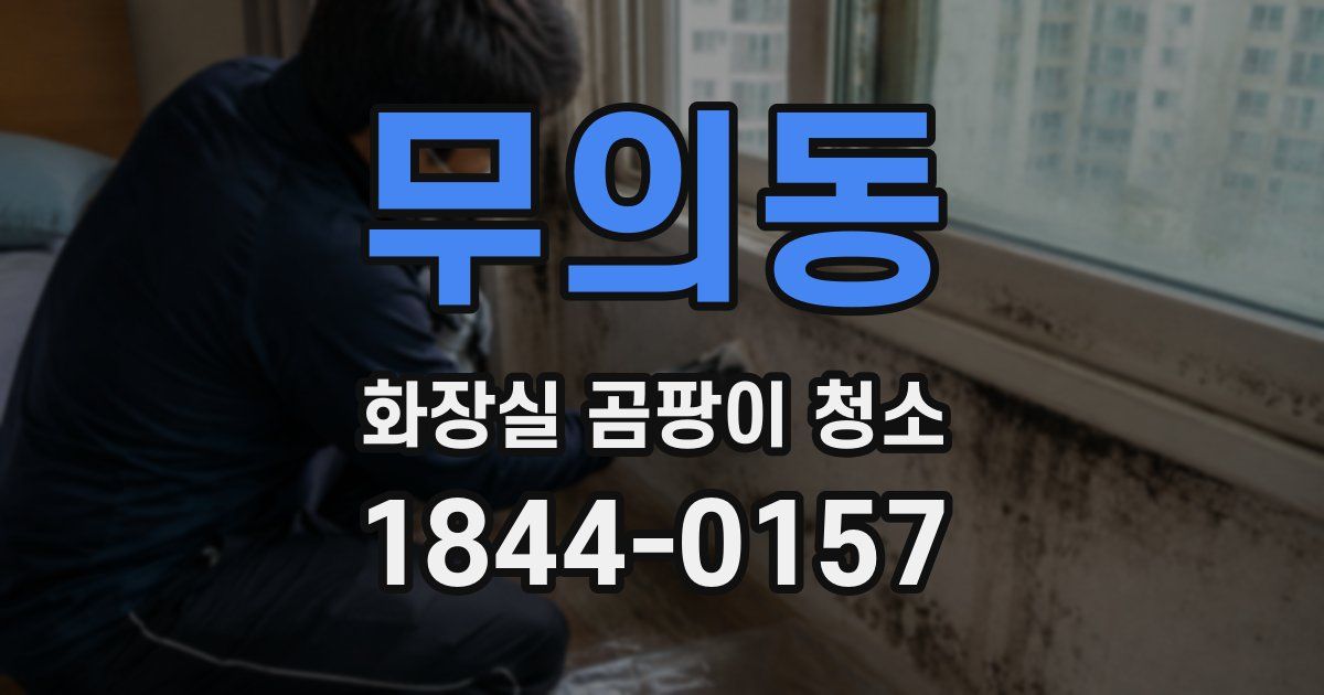 무의동 화장실 곰팡이 청소