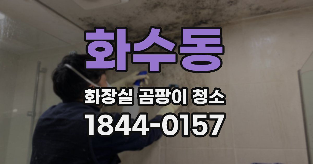 화수동 화장실 곰팡이 청소