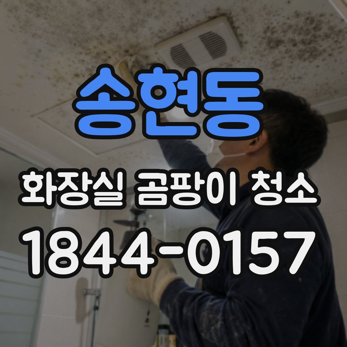 송현동 화장실 곰팡이 청소