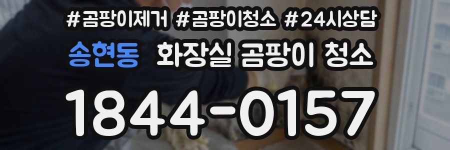 송현동 화장실 곰팡이 청소