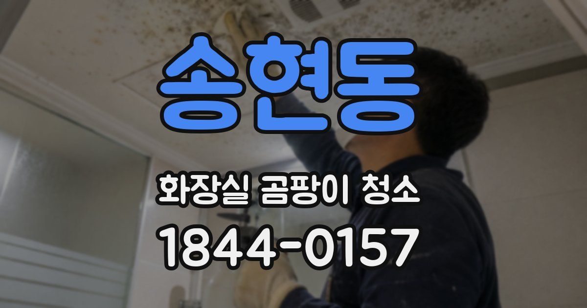 송현동 화장실 곰팡이 청소