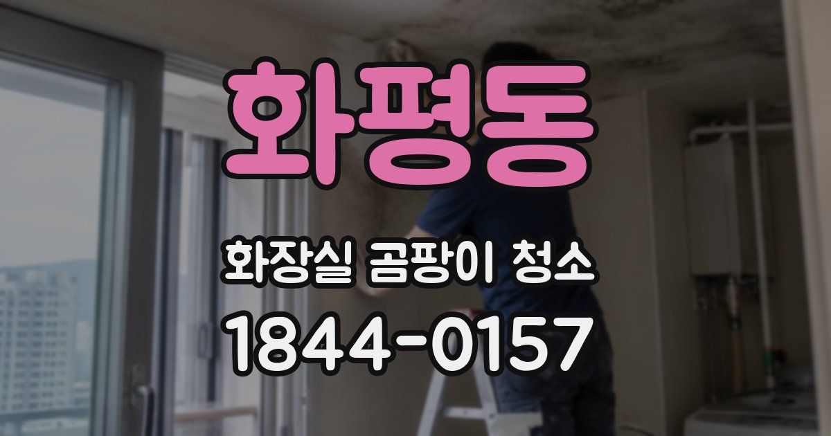 화평동 화장실 곰팡이 청소