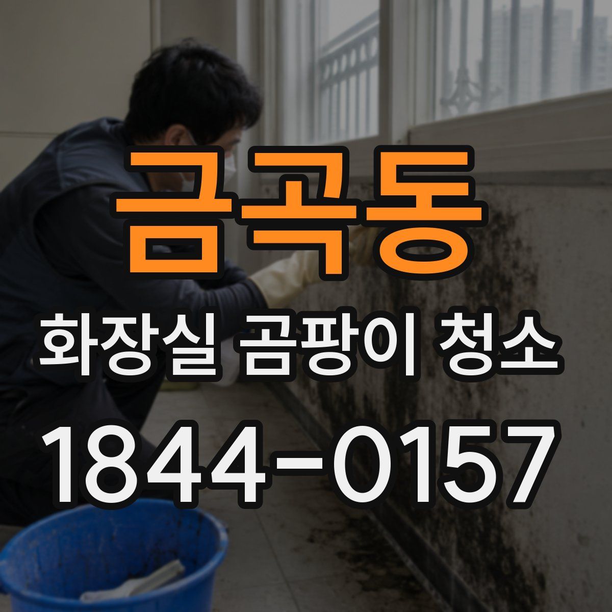 금곡동 화장실 곰팡이 청소