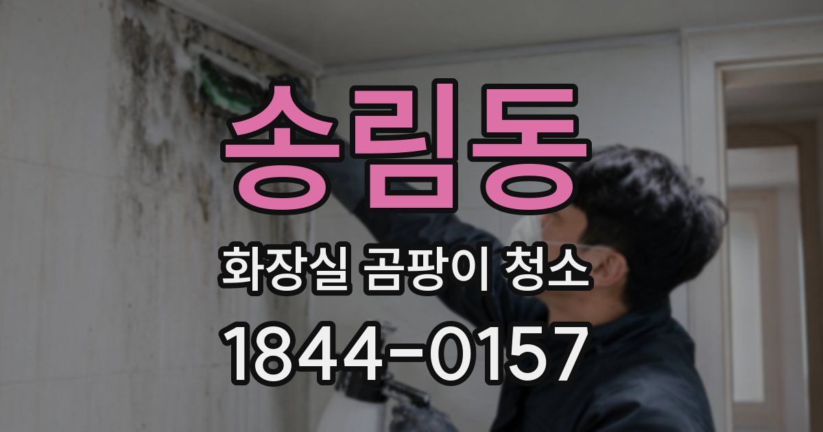 송림동 화장실 곰팡이 청소