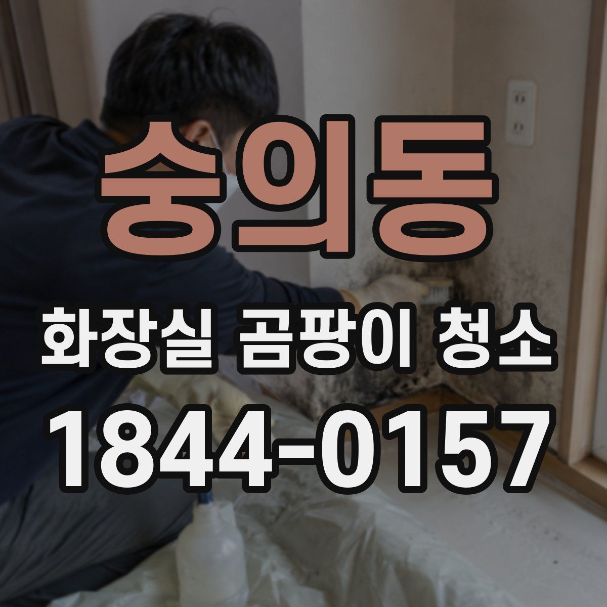 숭의동 화장실 곰팡이 청소