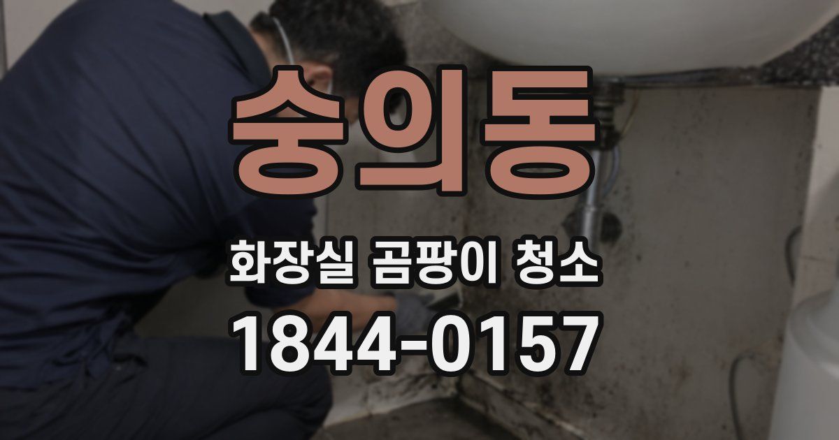 숭의동 화장실 곰팡이 청소