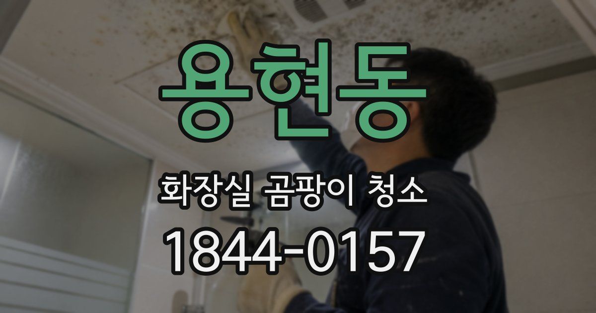 용현동 화장실 곰팡이 청소