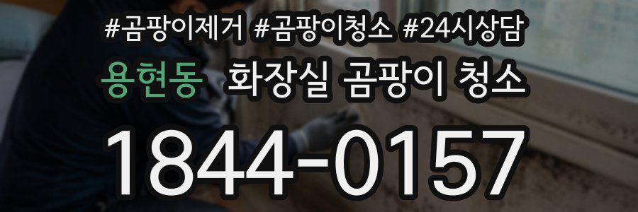 용현동 화장실 곰팡이 청소