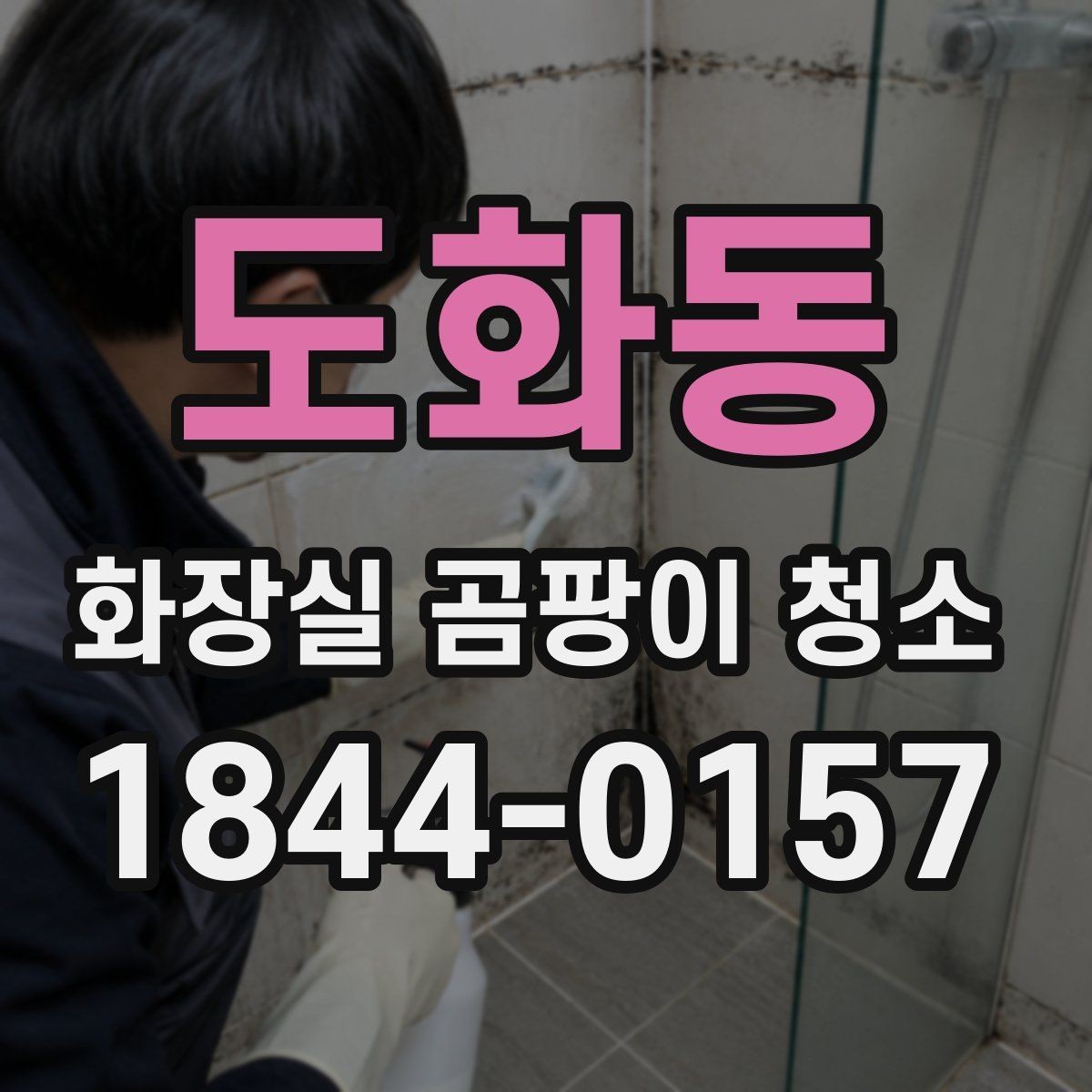 도화동 화장실 곰팡이 청소 청소 도구를 구역별로 나눠 써야 하는 까닭